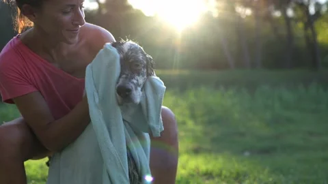 Back light of woman drying her dog with a towel after a bath. Pet care concep Stock Footage 220478979