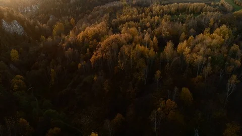 Back lit autumn forest at sunset. Polish Jurassic Highland, near Krakow. Aerial Stock Footage 122249542
