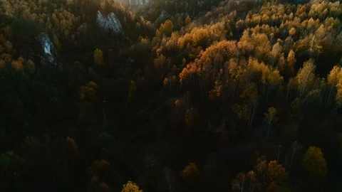 Back lit autumn forest at sunset. Polish Jurassic Highland, near Krakow. Aerial Stock Footage 122249579