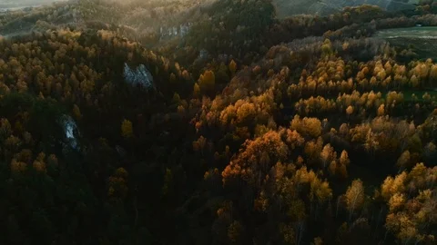 Back lit autumn forest at sunset. Polish Jurassic Highland, near Krakow. Aerial Stock Footage 122249624