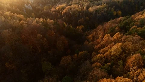 Back lit autumn forest at sunset. Polish Jurassic Highland, near Krakow. Aerial Stock Footage 122249636