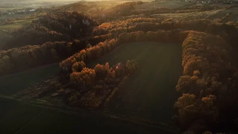 Back lit autumn forest at sunset. Polish Jurassic Highland, near Krakow. Aerial Stock Footage 122249662