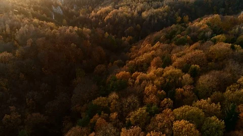 Back lit autumn forest at sunset. Polish Jurassic Highland, near Krakow. Aerial Stock Footage 122249678