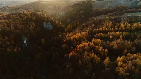 Back lit autumn forest at sunset. Polish Jurassic Highland, near Krakow. Aerial Stock-Footage 122249712