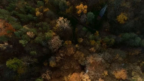 Back lit autumn forest at sunset. Polish Jurassic Highland, near Krakow. Aerial Stock Footage 122249721