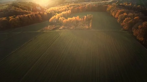 Back lit autumn forest at sunset. Polish Jurassic Highland, near Krakow. Aerial Stock Footage 122249728