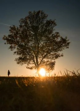 Back lit hill side at sunset Stock Photos