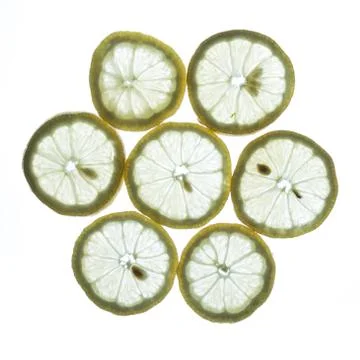 Back lit lemon Stock Photos