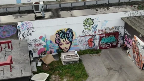 Back Lot Murals and Rooftops in Wynwood, Miami Vídeo Stock 100092595