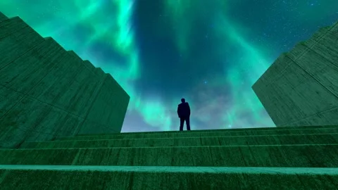 Back of a man standing on the steps at night looking at the starry sky Stock Footage 316018808