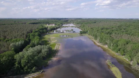 Back movement of drone. During May in the spring Video stock 254113678