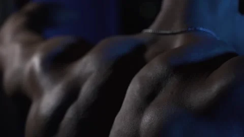Back muscle training in dark gym close-up Stock Footage 314680913