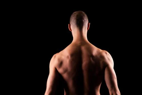 Back muscles Stock Photos