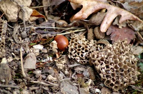 Back to nature Stock Photos