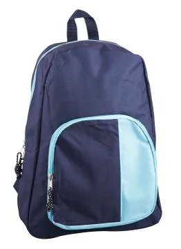 Back Pack 스톡 사진