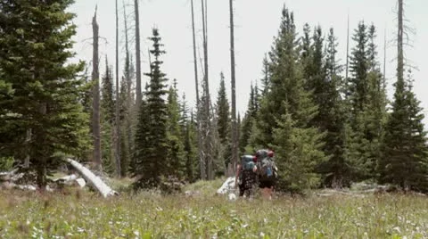 Back Packing in Wilderness 01 Stock Footage 9057954