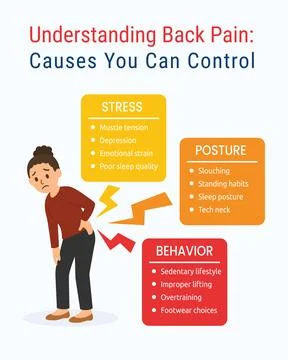 Back pain causes infographic vector Illustrazione stock