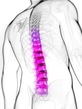 Back pain; conceptual artwork Stock Illustration