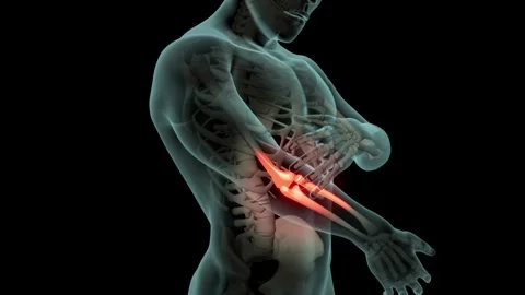 Back Pain spinal spine close-up animation Anatomy Body 3D Scan render seamless Stock Footage 336580339