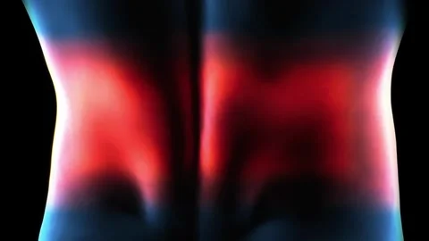 Back Pain spinal spine close-up animation Anatomy Body 3D Scan render seamless Stock Footage 336580367