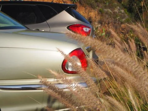 The back part of two silvery big, classy cars. Stock Photos