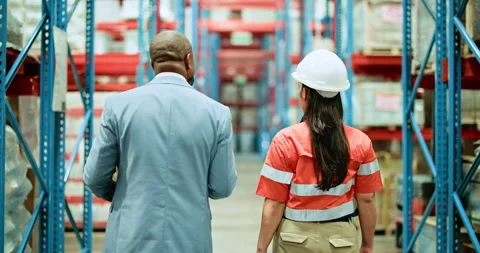 Back, people and pointing for logistics in warehouse for inspection, supply Stock Footage 326102473