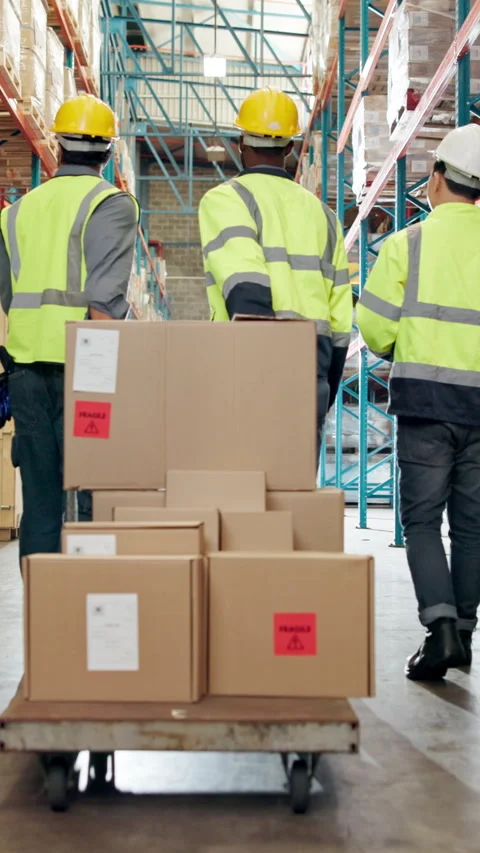 Back, people and trolley at warehouse with boxes, inspection and supply chain Stock Footage 340637236