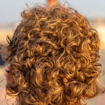 Back of persons head with natural brown curly hair under natural lighting. 库存照片