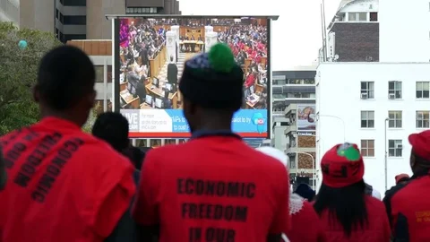 Back profiles of men wearing red T shirts saying "Economic Freedom" facing large 库存影片 78616218