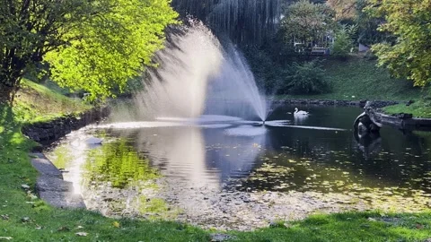 The back rays of the sun beautifully illuminate the spray of the fountain Video stock 299712106