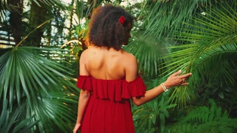 Back rear view happy young African American woman walking in tropical garden Stock Footage 310332946