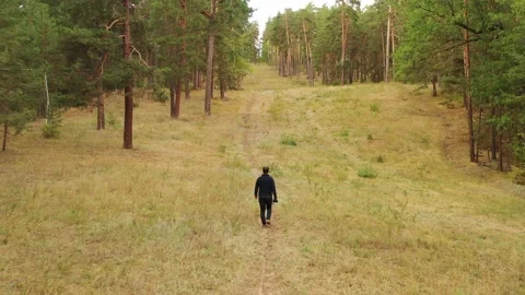 Back rear view of man with the camera walking alone through the forest. Lonel Stock Footage 161541082