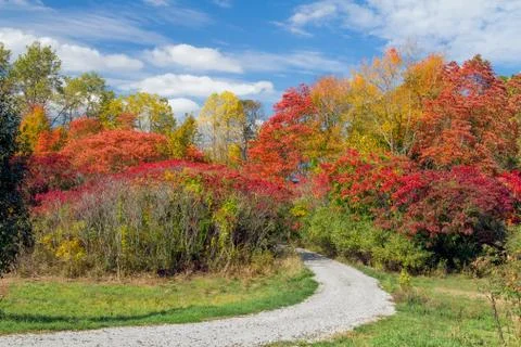 Back Road to Autumn Stock Photos