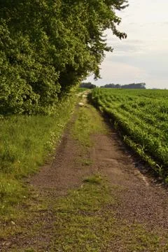 Back Road on the Farm Stock Photos