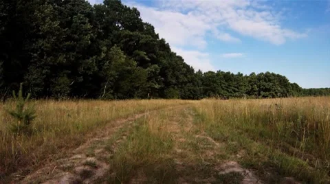 Back Road 스톡 동영상 7138595