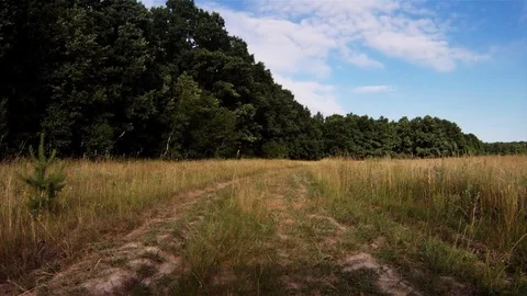 Back Road Stock Footage 100661175