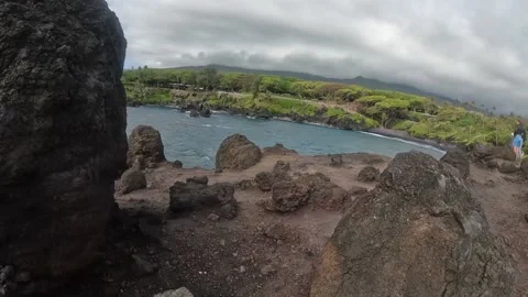 Back Sand Beach Video stock 218221103