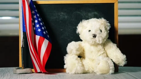 Back to school with American flag chalk black board and cute teddy mascot Stock Footage 316818343