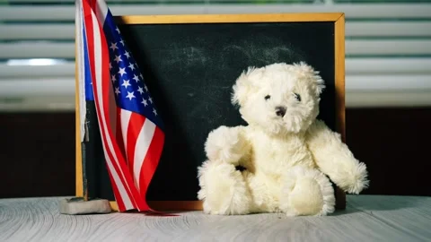 Back to school with American flag chalk black board and cute teddy mascot Stock Footage 317993930