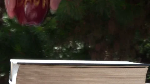 Back to school apples lining up V2 - HD Stock Footage 5299134