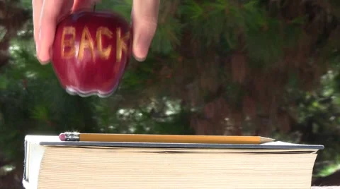 Back to school apples lining up V5 - HD Video stock 5299163