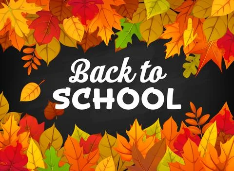 Back to school autumn banner with fall leaves Stock Illustration