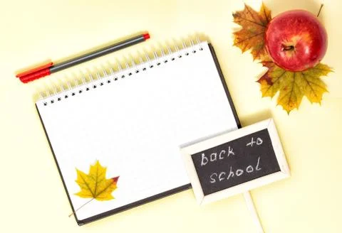 Back to School Background with Office Tools Stock Photos