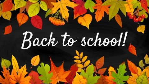 Back to school banner, autumn leaves on blackboard Stock Illustration
