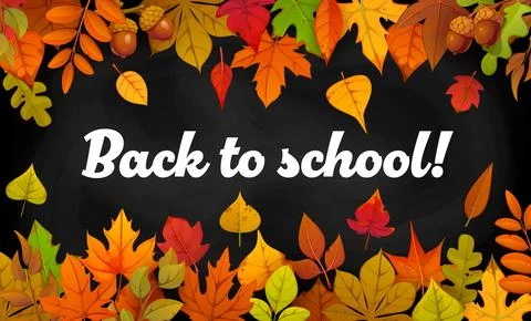 Back to school chalkboard banner, fall leaf border Stock Illustration
