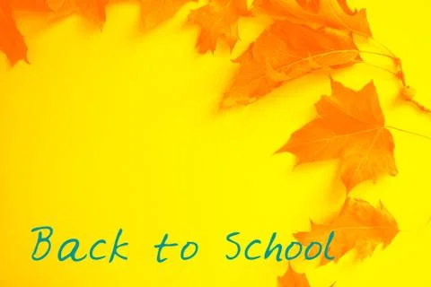 Back to school concept. Stock Photos