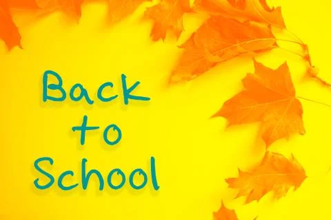 Back to school concept. Stock Photos