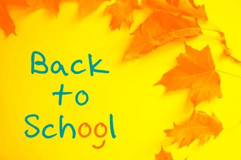 Back to school concept. Stock Photos