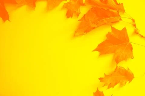 Back to school concept. Stock Photos