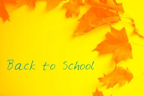 Back to school concept. Stock Photos